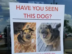 Kumpulan Foto yang Bisa Jadi Mood Booster