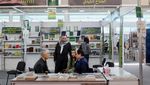Literasi Suriah Memasuki Era Baru Lewat Pameran Buku 2026