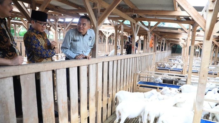 Mendes PDT Yandri Susanto saat meninjau projek Desa Domba di Karawang.