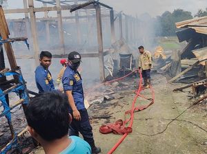 Kandang Ternak di Boyolali Kebakaran, Ribuan Ayam Mati Terpanggang