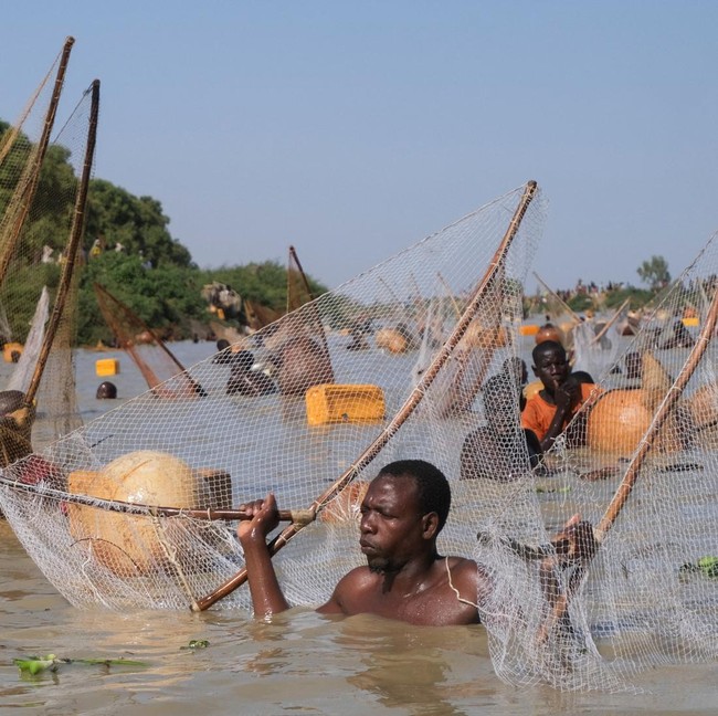 Ratusan Nelayan Padati Sungai Semarakkan Festival Memancing Argungu