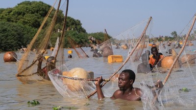 Ratusan Nelayan Padati Sungai Semarakkan Festival Memancing Argungu