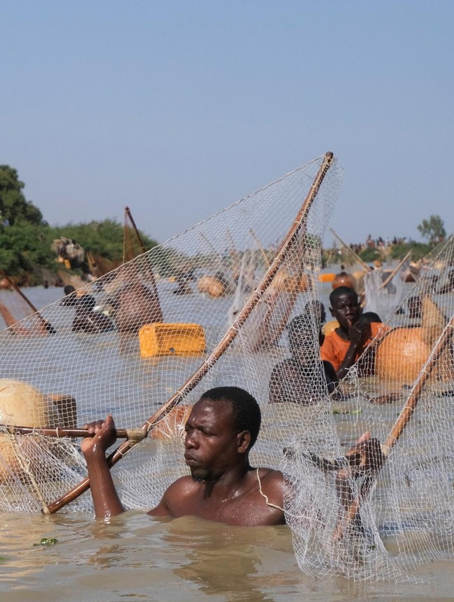 Ratusan Nelayan Padati Sungai Semarakkan Festival Memancing Argungu