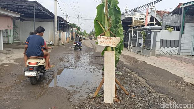 Ruas Jalan yang berubah jadi kebun Pusang Jalan di Tulungagung ditanami pohon pisang sebagai bentuk protes warga