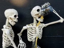 Jika Tengkorak Jadi Karya Seni, Wujudnya Menarik Seperti Ini