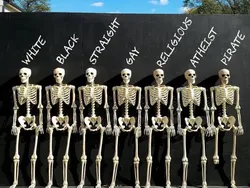 Jika Tengkorak Jadi Karya Seni, Wujudnya Menarik Seperti Ini