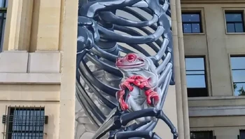 Skeleton and Frogs karya SMUG di Paris, Prancis. Foto: via StreetArtUtopia