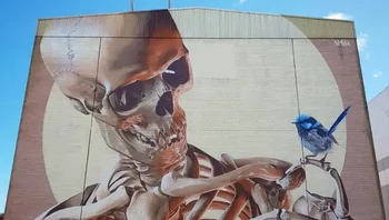 Skeleton with Bird karya SMUG di Frankston, Australia. Foto: via StreetArtUtopia
