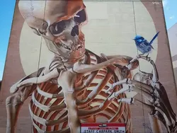 Jika Tengkorak Jadi Karya Seni, Wujudnya Menarik Seperti Ini