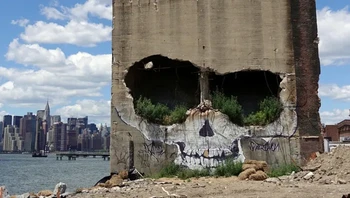 Skull Building karya Suitswon di Brooklyn, New York, AS. Foto: via StreetArtUtopia
