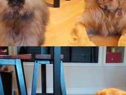 10 Foto Editan Photoshop Paling Liar dan Aneh, Mana Favorit Kamu?