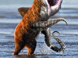 10 Foto Editan Photoshop Paling Liar dan Aneh, Mana Favorit Kamu?