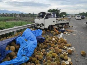 Ratusan Durian Tumpah Usai Pikap Terguling di Tol Mojokerto
