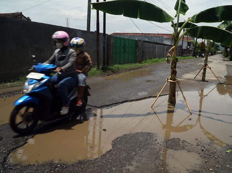 Kesal Jalan Rusak, Warga Tulungagung Pilih Tanam Pohon Pisang
