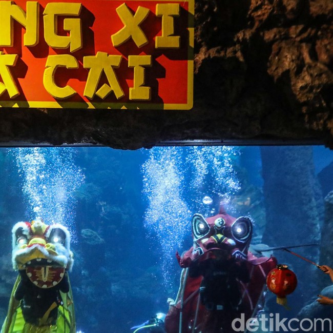 Libur Panjang Imlek, Atraksi Barongsai Bawah Laut Diserbu Pengunjung