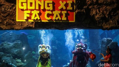 Libur Panjang Imlek, Atraksi Barongsai Bawah Laut Diserbu Pengunjung
