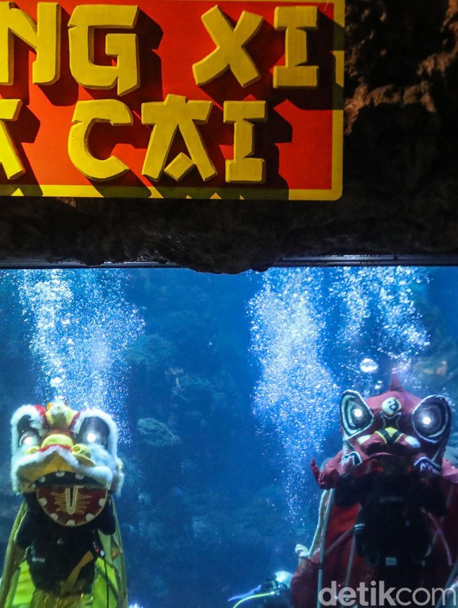 Libur Panjang Imlek, Atraksi Barongsai Bawah Laut Diserbu Pengunjung