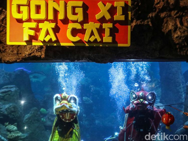 Libur Panjang Imlek, Atraksi Barongsai Bawah Laut Diserbu Pengunjung