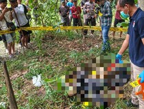 Heboh Warga Lampung Tengah Temukan Kerangka Manusia di Kebun