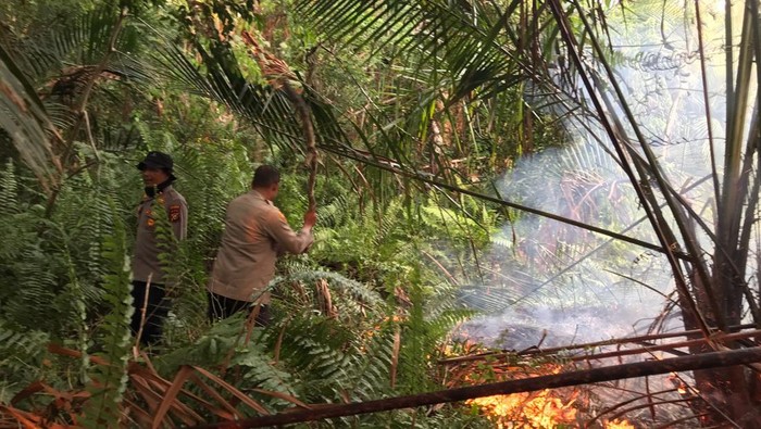 Polres Kepulauan Meranti bersama TNI dan BPBD memadamkan kebakaran hutan, Sabtu (14/2/2026).