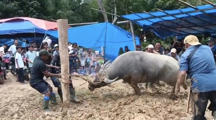 Warga saat gotong royong lakukan Bantai Adat sambut Ramadan di Merangin Jambi