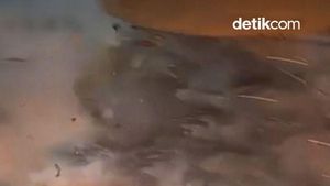 Video: Iran Latihan Perang di Selat Hormuz Jelang Ketemu AS