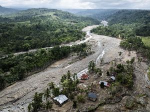 BRIN: Banjir Bandang Pertanda Ekosistem Hutan dalam Kondisi Kritis