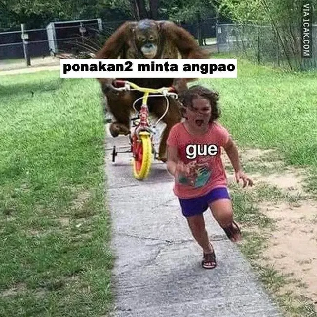 Meme Angpao: Daripada Nanya Kapan Kawin, Mending Tanya Nomor Rekening