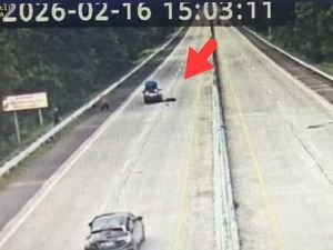 Cari Kayu Bakar, Santri Tewas Terlindas Mobil saat Nyebrang Jalan Tol