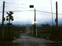 Terekam Kamera! Foto Misterius Ini Bikin Merinding