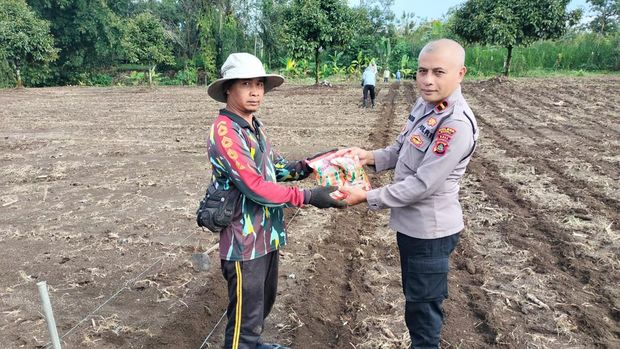 Ipda Subamia bina petani jahe gajah di Bangli