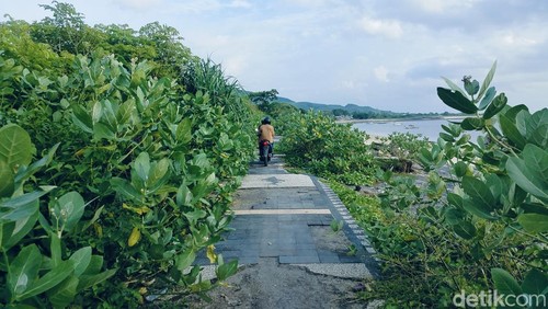 Kondisi Pantai Lakey, akses jalan rusak dipenuhi Semak Belukar, Selasa (17/2/2026). (Faruk)
