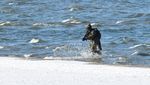 NATO Gelar Latihan STEADFAST DART 26 di Jerman