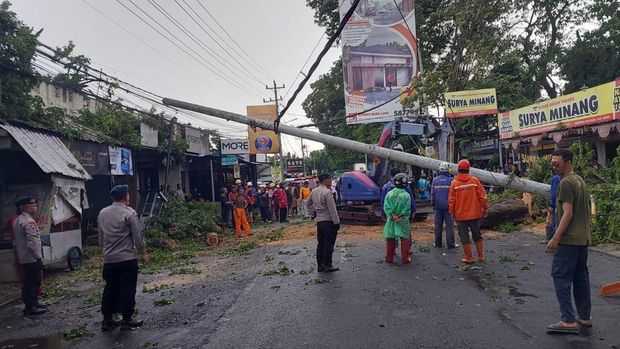 Pohon tumbang di Jalan Parangtritis Km.7, Cabeyan, Panggungharjo, Sewon, Bantul, Rabu (18/2/2026) siang.