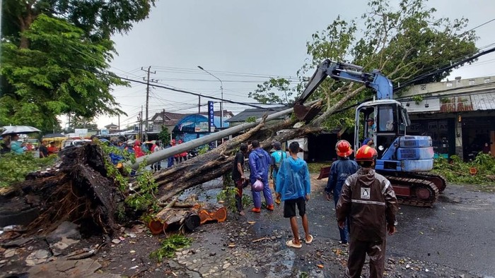 Pohon tumbang di Jalan Parangtritis Km.7, Cabeyan, Panggungharjo, Sewon, Bantul, Rabu (18/2/2026) siang.