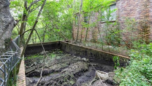 Sebuah rumah di Australia laris manis diincar pembeli. Padahal kondisi rumahnya penuh dengan sampah.