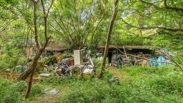 Sebuah rumah di Australia laris manis diincar pembeli. Padahal kondisi rumahnya penuh dengan sampah.