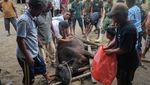 Warga Huta Godang Bagikan Daging Sapi Sambut Ramadan 1447 H