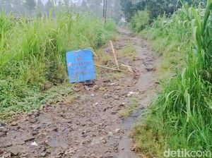 Efek Domino Offroader Ilegal, Wisata Safari Hutan di Lembang Disetop