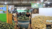 Sementara itu, blewah juga tampak disusun rapi ke dalam keranjang guna memudahkan proses bongkar muat.