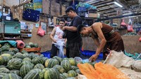 Pedagang terlihat sibuk menyortir dan menata blewah sebelum dipasarkan kepada pembeli maupun pedagang eceran.