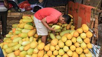 Dua komoditas buah musiman tersebut laris manis seiring tingginya kebutuhan masyarakat akan menu takjil untuk berbuka puasa.