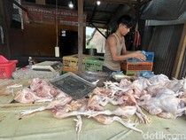 Harga Ayam Naik Meski Pasokan di Sumut Diklaim Aman