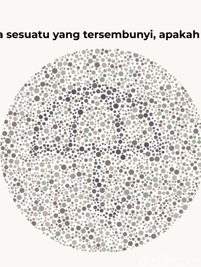 Uji Ketelitian dan Fokus, Temukan Siluet Tersembunyi di Gambar Ini