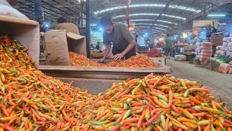 Harga Cabai Rawit Makin Pedas, Tembus Rp 90 Ribu/Kg