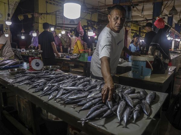 Produksi Ikan 3,57 Juta Ton, KKP Jamin Ketersediaan Selama Ramadhan 2026