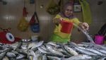 Produksi Ikan 3,57 Juta Ton, KKP Jamin Ketersediaan Selama Ramadhan 2026
