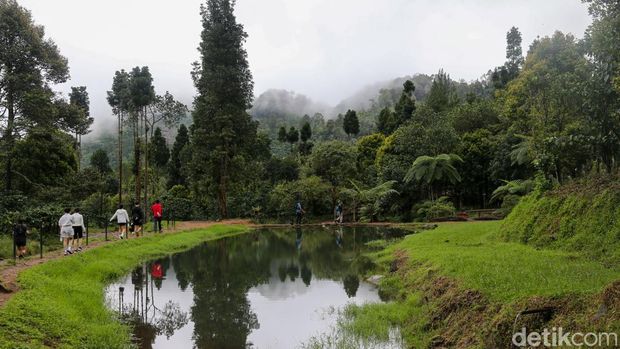Jalur trail Cisadon di Bojong Koneng, Bogor, kian diminati pelari Jabodetabek berkat medan variatif, elevasi menantang, dan suasana desa yang masih alami.Jalur trail Cisadon di Bojong Koneng, Kabupaten Bogor, semakin populer sebagai lokasi latihan lari trail bagi pelari Jabodetabek. Aksesnya yang relatif dekat dari kawasan perkotaan serta karakter medan yang bervariasi menjadikan jalur ini cocok untuk pelari pemula hingga berpengalaman yang ingin melatih daya tahan dan berburu elevasi di alam terbuka.Sejumlah pelari rutin memanfaatkan jalur ini untuk latihan berkala, bahkan memulai aktivitas sejak dini hari. Salah satunya Eko, karyawan swasta asal Jakarta, yang bersama rekan-rekannya hampir setiap bulan berlari di Cisadon. Rute dari area sekitar kandang sapi milik Presiden Prabowo Subianto menuju Desa Cisadon dapat mencapai sekitar 7 kilometer sekali jalan, dengan jarak tempuh yang bisa bertambah sesuai jalur dan menu latihan.Di sepanjang rute, papan penunjuk arah membantu pelari dan pendaki menuju berbagai destinasi lain seperti Bukit Paniisan, Situ Rawa Gede, Pasir Limo, hingga jalur yang terhubung ke Gunung Pancar dan kawasan Puncak. Jalur trekking Cisadon juga menawarkan banyak spot foto menarik dengan latar sawah, kebun teh, hutan pinus, sungai, dan perbukitan yang terbuka luas, termasuk panorama dari Bukit Pasir Limo yang menampilkan lanskap Bogor dari ketinggian.Namun, karakter jalur yang berupa jalan desa rusak, tanah, makadam, serta lintasan anak sungai dan kubangan menghadirkan tantangan tersendiri, terutama saat musim hujan ketika jalur berubah menjadi licin dan berlumpur. Minimnya sinyal seluler serta suasana desa yang tenang dan alami justru menjadi daya tarik tambahan, menghadirkan pengalaman latihan yang menyatu dengan kehidupan warga lokal sekaligus kesempatan untuk sejenak lepas dari hiruk-pikuk dunia digital.