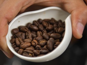 3 Fakta Kopi Gayo Aceh yang Masuk Daftar Kopi Terbaik Dunia 2026
