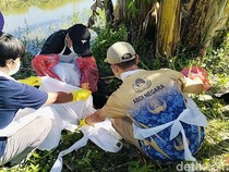 Ngeri! Bocah Kakak-Adik di Polman Diserang Anjing, Warga Sempat Kira Bangkai